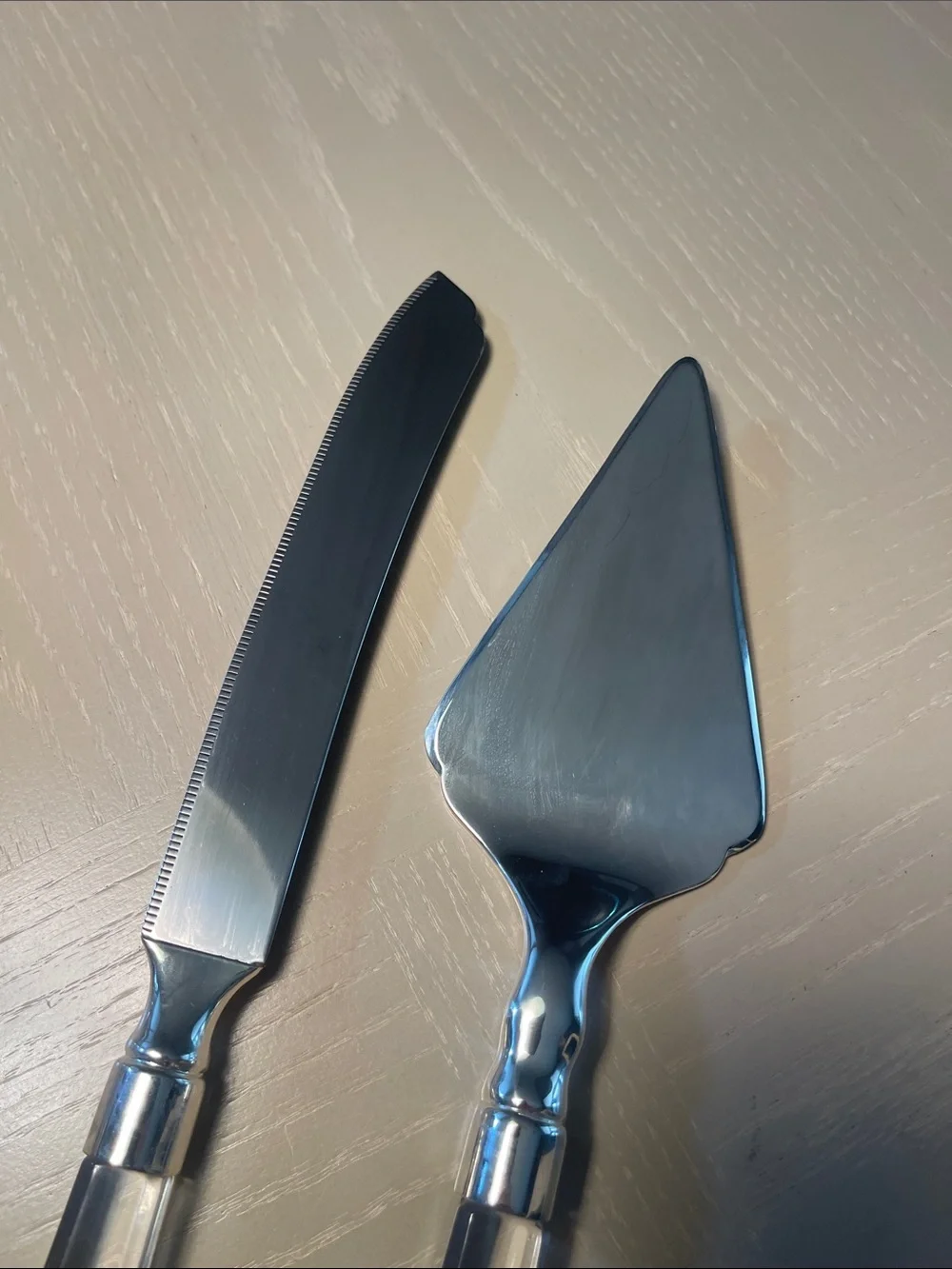 Clear Handle Cake Knife and Server Set - Silver Blades, Clear Acrylic Handles